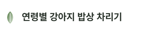 연령별 강아지 밥상 차리기